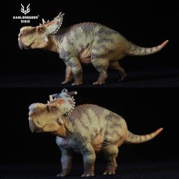 Actie Speelfiguren HAOLONGGOOD 1 35 Pachyrhinosaurus Dinosaurus Speelgoed Oude Prehistroy Animal Model 230802