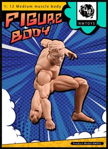 Figurines d'action en stock NwToys 1 12 Échelle 16,6 cm Anime Muscle Moyen Articulation Corps Masculin Héros Super Flexible Poupée Peinture Pratique Figure 230627