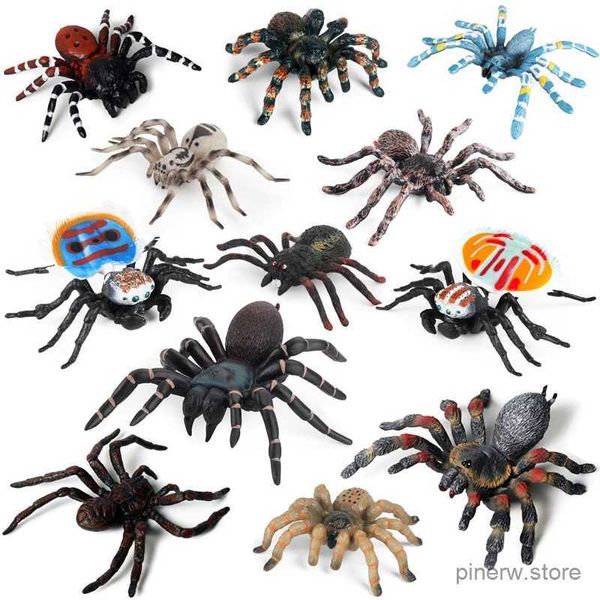 Figurines d'action figurine d'araignée réaliste insecte animal tarentule paon araignée Argiope amoena figurine d'action en plastique solide farce jouets pour enfants