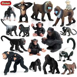 Figuras de juguete de acción Oenux Primitive Wildlife Action Picture Mono Chimpancé Naranja Oro Gibbon Modelo PVC Mini Educación para niños ToyC24325