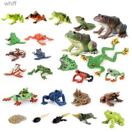 Figuras de juguete de acción Color realista Selva Animal Rana Imagen de personaje Rana arbórea Tapol Ciclo de crecimiento Modelo Educación Colección ToyC24325