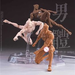 Figurines d'action Romankey X COWL 1/12 Peau blanche/jaune/noire Muscle super flexible Corps masculin Plusieurs modèles de mains 16,3 cm Corps de figurine d'action L231216