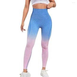 Calças ativas de cintura alta sexy gradiente sem costura leggings de yoga barriga controle booty push up magro para mulher