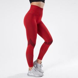 Actieve broek plus-size leggings naadloos Jacquard Quick-Dry Yoga geen onhandige lijn Sport voor vrouwenfitness