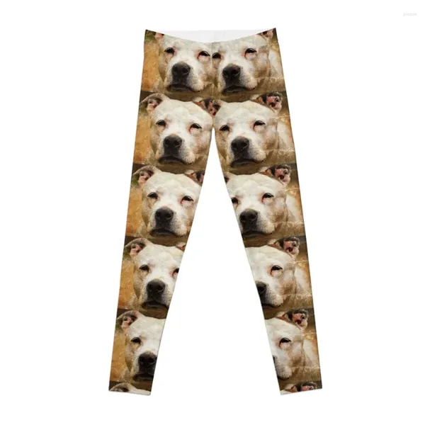 Pantalon actif Portrait d'un Staffy-blanc Staffordshire Bull Terrior Leggings taille haute vêtements Fitness femmes