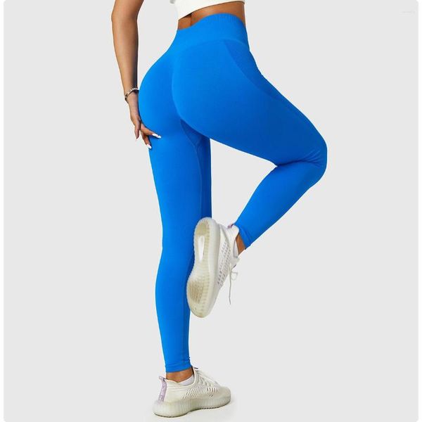 Pantalon actif sans couture Gym formation course Leggings taille haute cyclisme séchage rapide Sport femmes fessier Fitness Yoga serré