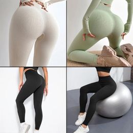 Pantalones activos para mujer, pantalones de Yoga acanalados sin costuras, mallas deportivas de alta elasticidad para Fitness, pantalones cortos de entrenamiento para correr en la cintura para gimnasio, WHSL