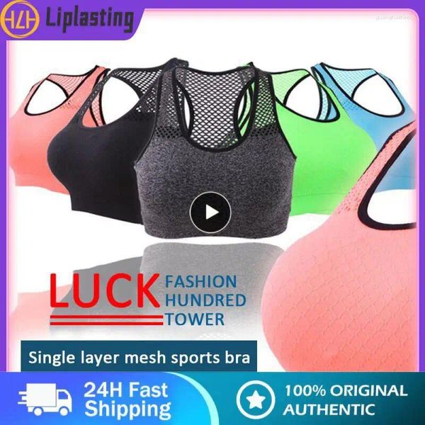 Camisas activas 1 Uds. Sujetador deportivo de malla ahuecado Top deportivo sin costuras Fitness sujetadores de Yoga mujeres gimnasio acolchado chaleco para correr a prueba de golpes Push Up Crop