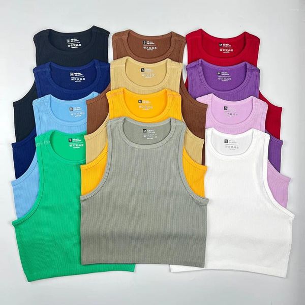 Camisas activas Chaleco de yoga multicolor Gimnasio Tops cortos deportivos Ropa de calle sin costuras Tejido acanalado Fitness Runing Sujetador de entrenamiento Camiseta sin mangas sin almohadilla