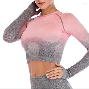 Chemises actives sans couture Yoga t-shirt sport soutiens-gorge à manches longues course mince Fitness Gym avec des gants respirant hauts porter des femmes