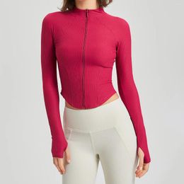 Chemises actives pour femmes, vêtements de gymnastique, Yoga, Fitness, manches longues, Slim, haut court, haute élasticité, courbe douce, col montant, fermeture éclair