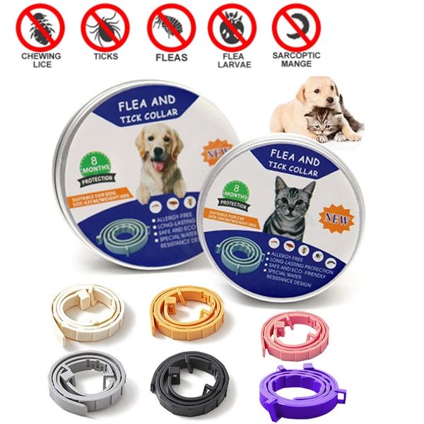 Colliers anti-insectes réglables pour chiens et chats, anti-puces, tiques, anti-moustiques, collier personnalisé, fournitures pour animaux de compagnie, accessoires