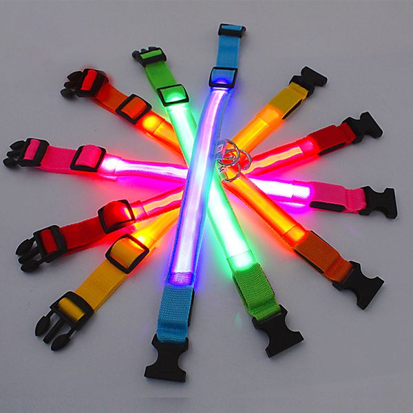 Collier de chien LED réglable Lumière anti-perd Collar pour chiens chiots nocturnes fournitures lumineuses accessoires de produits pour animaux