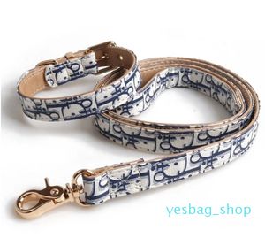 Collier de luxe réglable avec boucle en métal et corde de traction pour chiens collier pour chats et corde de traction en plein air