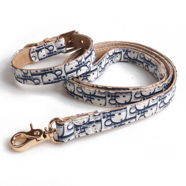 Collier de luxe réglable avec boucle en métal et corde de Traction pour chiens, collier pour chats et corde de Traction extérieure