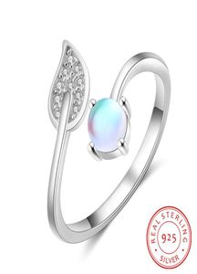 Verstelbare open vrouwen ring 925 Sterling Silver Moonstone verlovingsring met kubieke zirconia stenen fijne sieraden bruiloft cadeau c03065423066