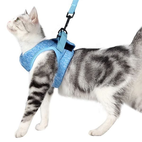 Harnais réglable en maille souple pour petit chat, ensemble de laisse, gilet réglable, anti-évasion pour chaton, contrôle facile, réfléchissant, chiot, chien