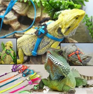 Verstelbare trainingswandeling vogel papegaai riem lopende kabel nylon tractie touw harnas reptile haged harnas riem veelkleurig huisdieren speelgoed