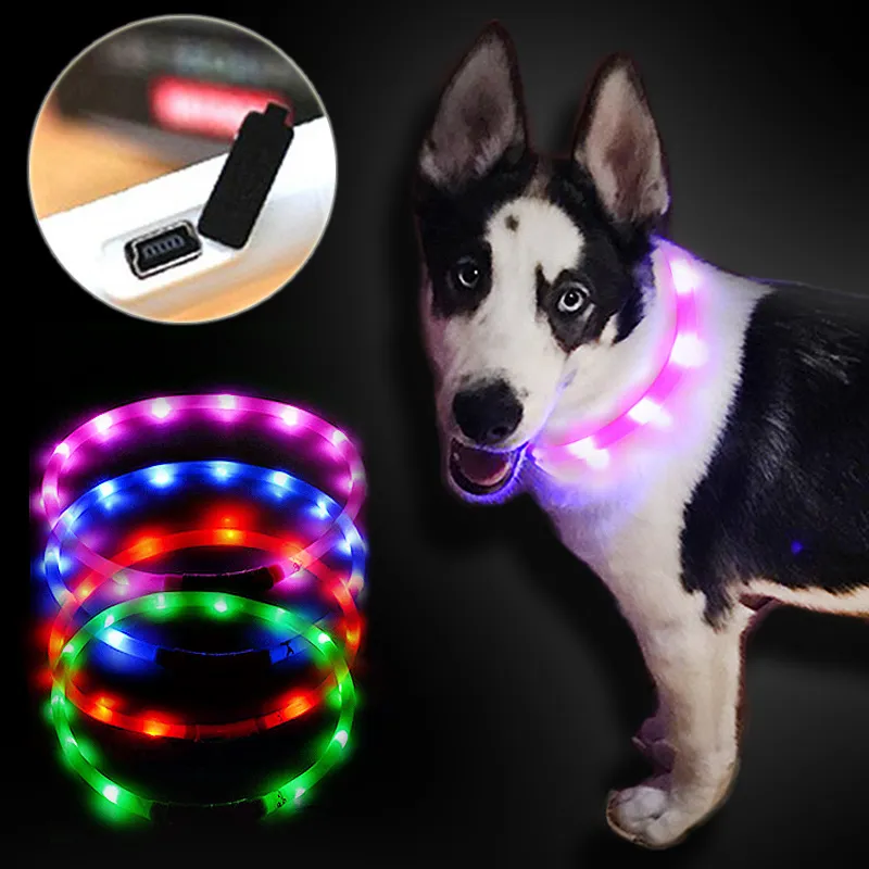 Venta Al Por Mayor Collar De Perro Luces Led USB Ajustable Luminosa Llevó Collar De Perro Carga USB Suministros Para Perro Teddy Led Collares De Luz Perros Grandes 3,18