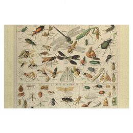 Adolphe Millot Insectes Puzzle pour les enfants Custom personnalisés Custom personnalisés en bois Adults 240428