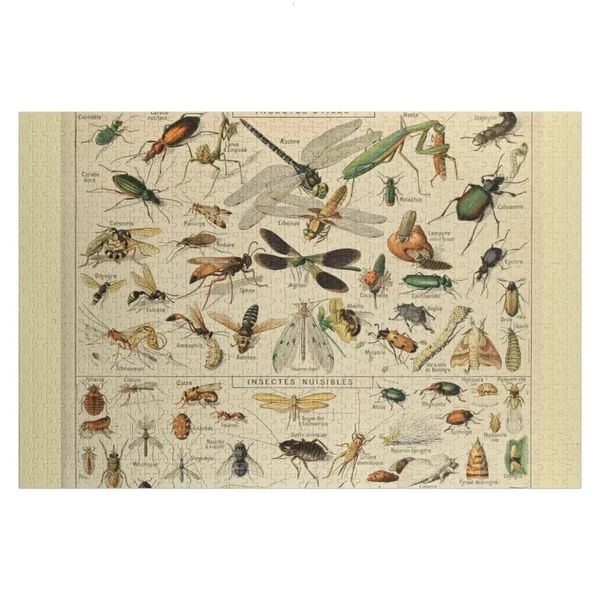 Adolphe Millot Insectes Puzzle pour les enfants Custom personnalisés Custom personnalisés en bois Adults 240428