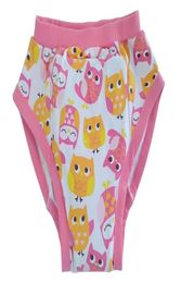 Pantalon d'entraînement hibou imprimé pour adulte Slip pour bébé adulte avec rembourrage à l'intérieur Pantalon ABDL adulte abdl pantnappie Couches adultes 9964937