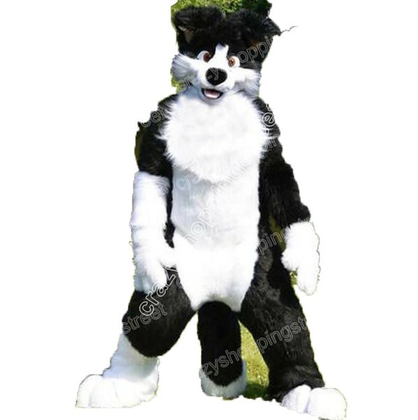 Taille adulte longue fourrure Husky renard chien mascotte Costumes thème de dessin animé déguisement mascotte lycée ad vêtements