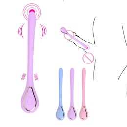 Volwassen Speelgoed 10 Frequentie Vibrerende Urethrale Vibrator Katheter Penis Plug Dilatator Paard Oog Inbrengen Urethra Geluid Dilato Sex voor Mannen 230804