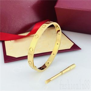 Estética pulsera de lujo amor diseñador pulsera destornillador elegancia día de san valentín dorado plateado diamantes para hombre pulsera gruesa joyería señora ZB001 F23