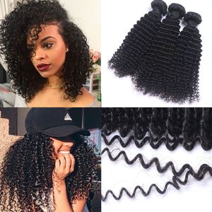 Afro Curly Peruvian Human Hair Bundles 100% Peruvian Human Hair Extension Weave Double Machine Weft For Black Women