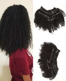 Afro bouclés clip indien extension de cheveux humains pour les femmes noires naturel vierge crépus bouclés clips ins GEASY2775258