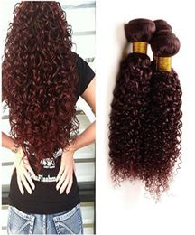 Afro Kinky Bourgogne Brésilien Humain Vierge Cheveux Bundles Afro Crépus Bouclés Unprocesss Vin Rouge Extensions de Cheveux 3 pcs Lot Bourgogne Hai3238619