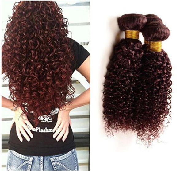 Afro Kinky Borgoña Brasileño Paquetes de cabello humano virgen Afro Kinky Rizado Sin procesar Extensiones de cabello rojo vino 3 piezas / lote Borgoña Hai4016221