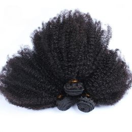 Afro Kinky Curly Bundles Brésiliens 1/3 Afro Kinky Hair Bundles Deal 10-22 "95g / PC Couleur Naturelle Double Trame Extensions de Cheveux Bouclés Armure de Cheveux Humains Pour Les Femmes