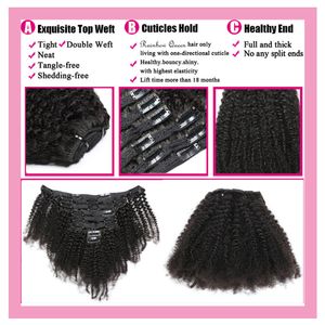 Afro Clip Clinky Clip dans les extensions de cheveux Malaisiens 100% Human Clip Clip Ins 120G Virgin Remy Hair Natural Couleur