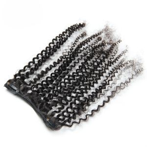 Afro kinky krullende clip in menselijke hair extensions 8pcs dubbele sterke inslag 100g clip in natuurlijke krullende Braziliaanse haarextensies