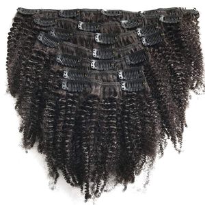 Afro Kinky Curly Clip Ins Extensions de cheveux humains Cheveux mongols Clip de couleur naturelle afro-américaine dans l'extension