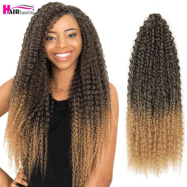 Afro Crépus Bouclés Cheveux Tresse Crochet Tressage Extensions 20 Pouce Marly Pour Les Femmes Noires Ombre Brun Bug Expo Ville 220610