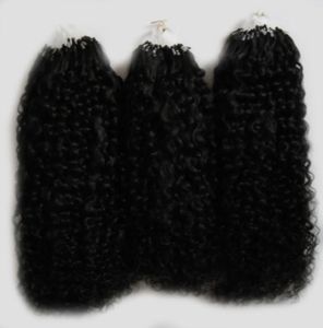 Afro Kinky Curly Hair Micro Loop Extensions de cheveux humains 300G 1GS 300S Extensions de cheveux Micro Link Human7495743