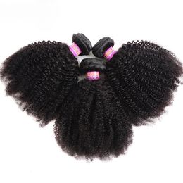 Afro Kinky Curly Human Hair Bundles Extensions 50g / PC Indian Remy Hair Natural Couleur Double Terré 1/3/5 / 7PCS Set Full End