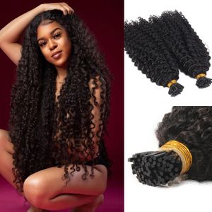 Afro crépus bouclés je pointe Extension de cheveux humains vierge brésilien kératine pré-collé bâton Microlinks itip naturel noir 100g