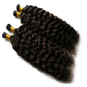Afro Kinky Curly Keratin Stick Tip Hair Extensions 200s 1g / Strands I Tip Menselijk Haarverlenging 200g Mongools Kinky Krullend Haar