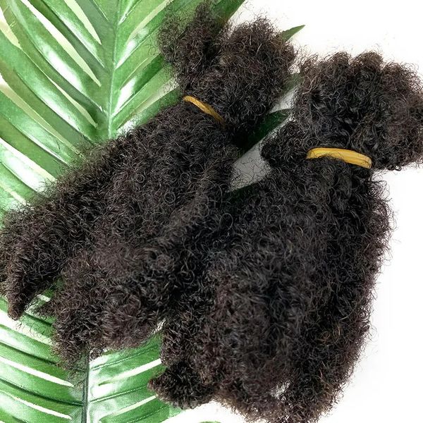 Afro Kinky Curly Locks Cheveux Microlocs Tressage Humain En Vrac Pour Double Boîte Dessinée Crochet Tresses 4C 231226