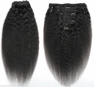 Afro kinky rechte haar onbewerkte clip in hair extensions 120 gram Mongools menselijk haar Afrikaanse Amerikaanse Remy Natural Black Clips2066055