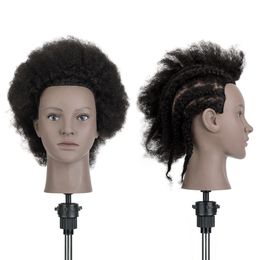 Têtes de formation afro Cosmétologie Mannequin Training Head Hair Human Human Fo Head Hairdressing Practice Manikin Head with Clamp