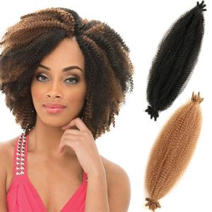 Afro Twist cheveux synthétiques crépus bouclés Marley tressage Crochet tresses printemps torsion Faux Locs Extension de cheveux
