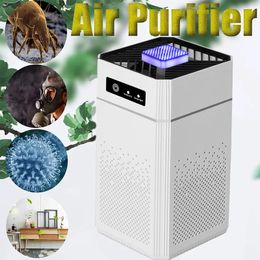 Purificateur d'air élimine les odeurs de fumée générateur d'ions négatifs de formaldéhyde avec filtre HEPA nettoyant portable pour cuisine de salle de voiture 240308