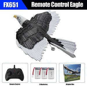 Vliegtuigen Modle RC Schuim Vliegtuig 405mm Simulatie Spanwijdte Eagle 2 4G Radio Control Afstandsbediening Zweefvliegtuig Vliegtuig Speelgoed voor Kinderen Jongens 230731