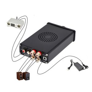 Aiyima Bluetooth TPA3255 Amplificadores de potencia HIFI 300WX2 AUDIO SONIDO CLASE D MINI AMP AMP DIY AMPLIFORIOR AMPLIFOR