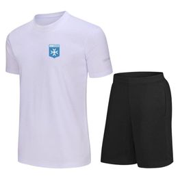 AJ Auxerre-chándal de entrenamiento de fútbol para hombre, camiseta de fútbol de manga corta de secado rápido, camisetas con logotipo personalizado para exteriores, 199g